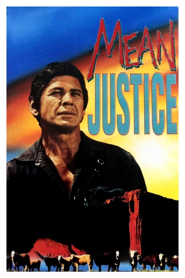 Cover of the movie Mean Justice