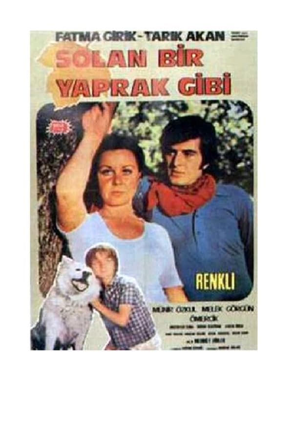 Cover of the movie Solan Bir Yaprak Gibi