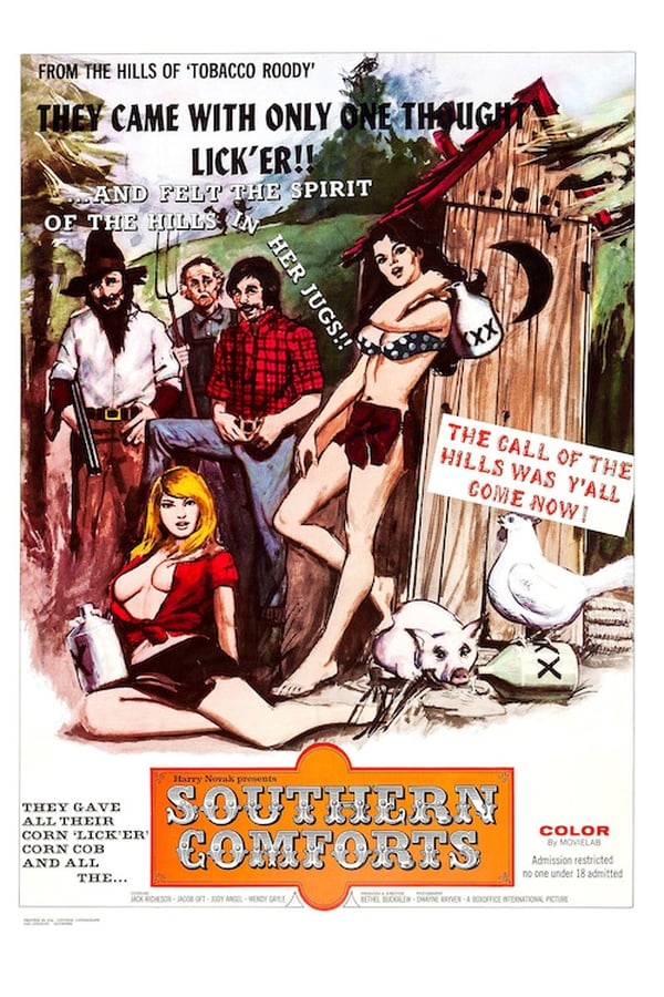 Cover of the movie Southern Comforts