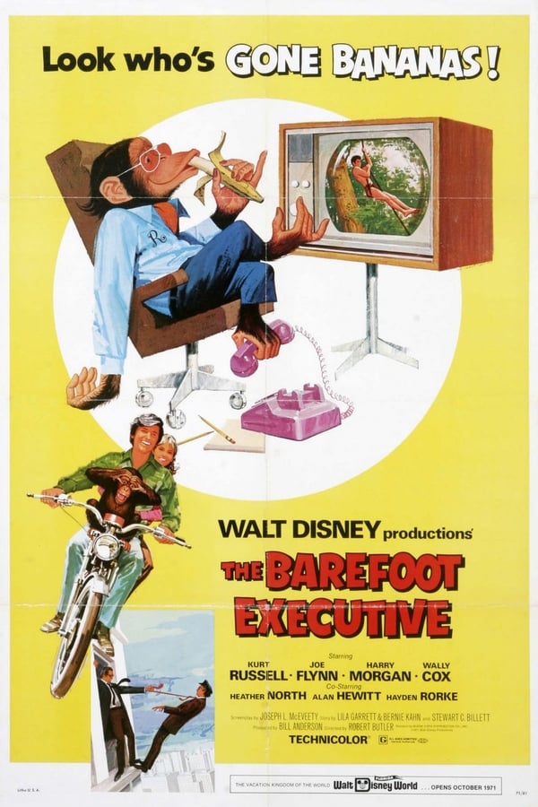 Cover of the movie The Barefoot Executive
