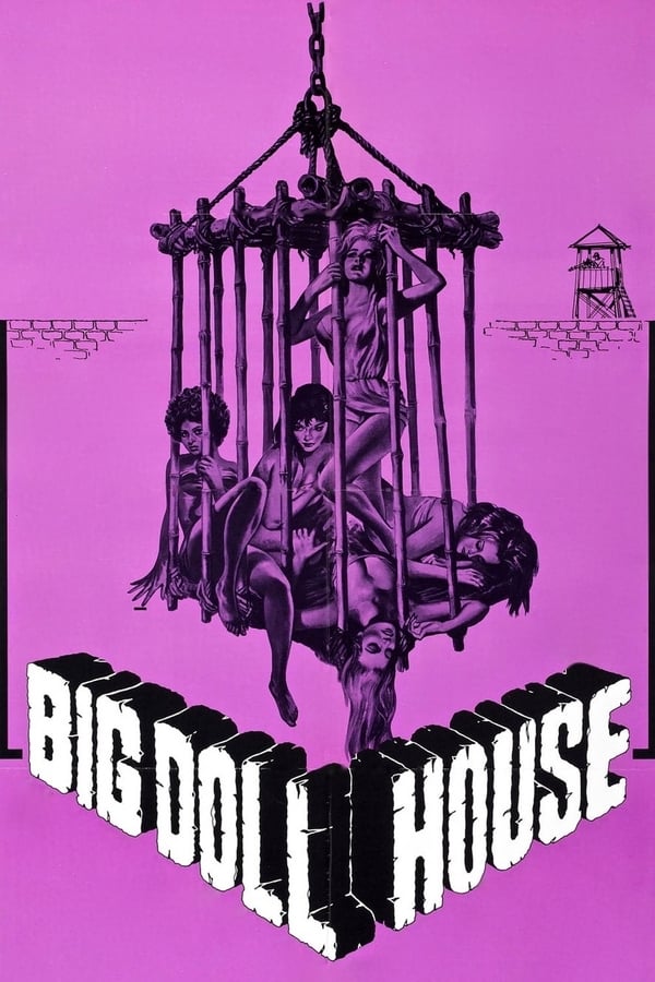 Cover of the movie The Big Doll House