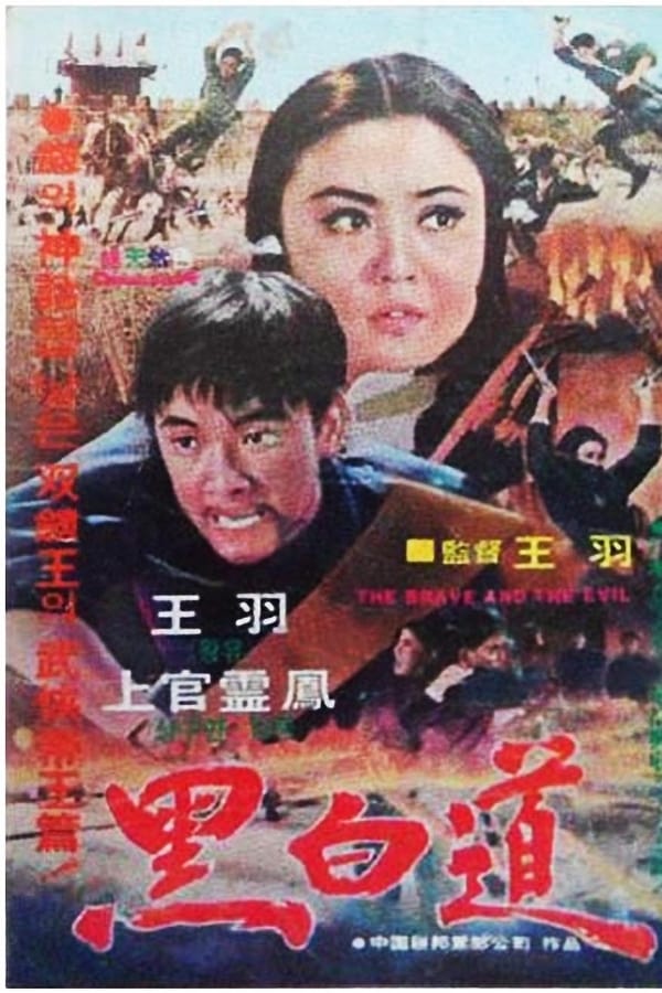 Cover of the movie The Brave and the Evil