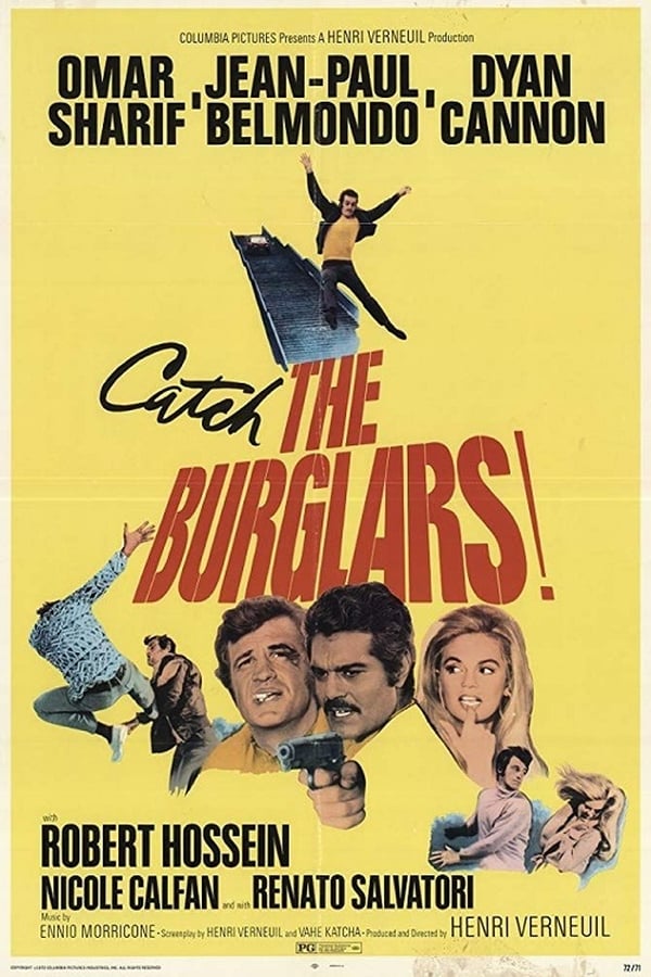 Cover of the movie The Burglars