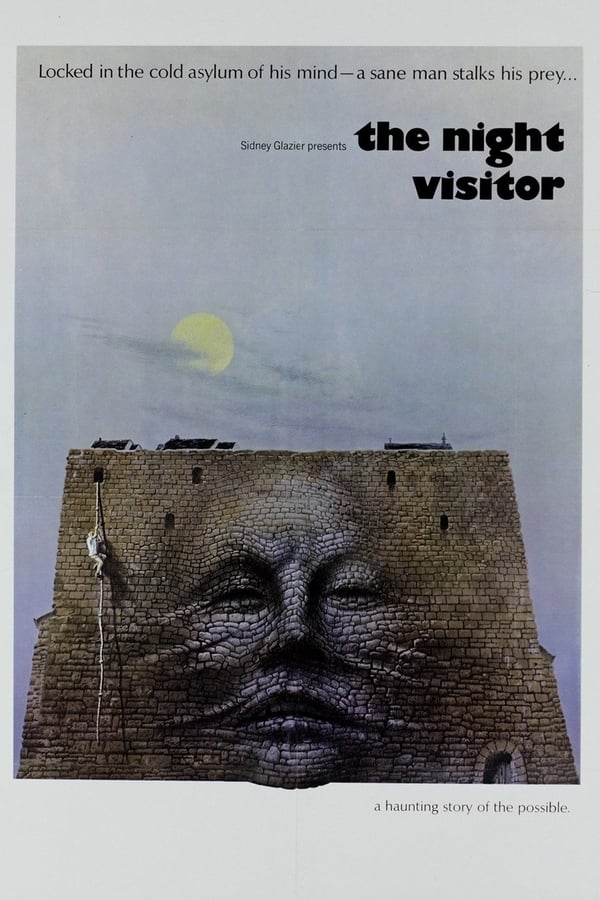 Cover of the movie The Night Visitor