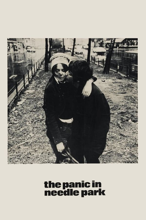 Cover of the movie The Panic in Needle Park