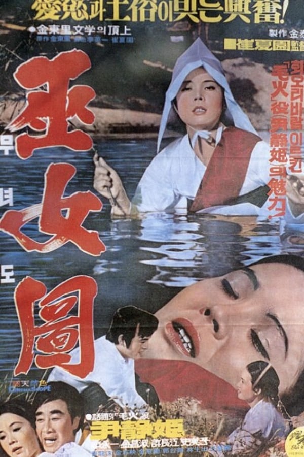 Cover of the movie A Shaman's Story