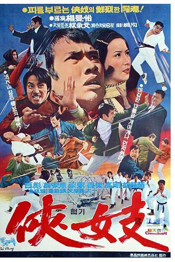 Cover of the movie Action Tae Kwon Do