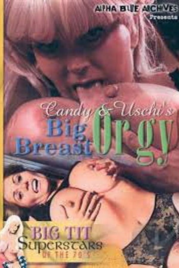 Cover of the movie Big Breast Orgy