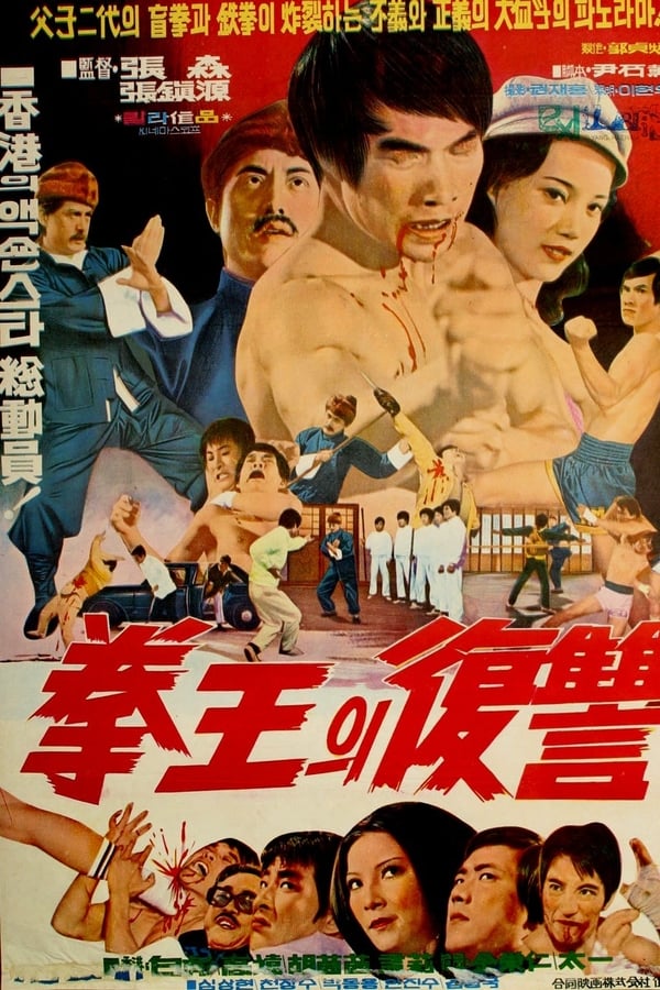 Cover of the movie Blind Boxer