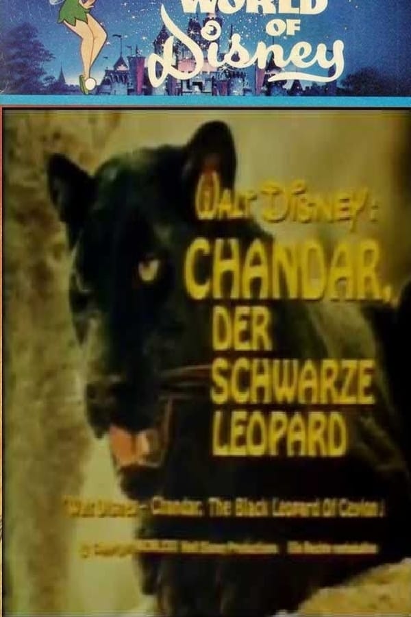 Cover of the movie Chandar, the Black Leopard of Ceylon