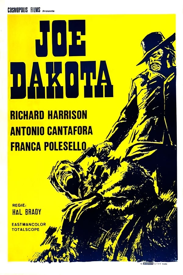 Cover of the movie Joe Dakota
