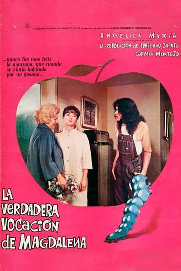 Cover of the movie La verdadera vocación de Magdalena