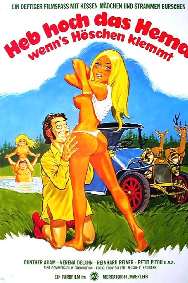 Cover of the movie Liebe durch die Autotür