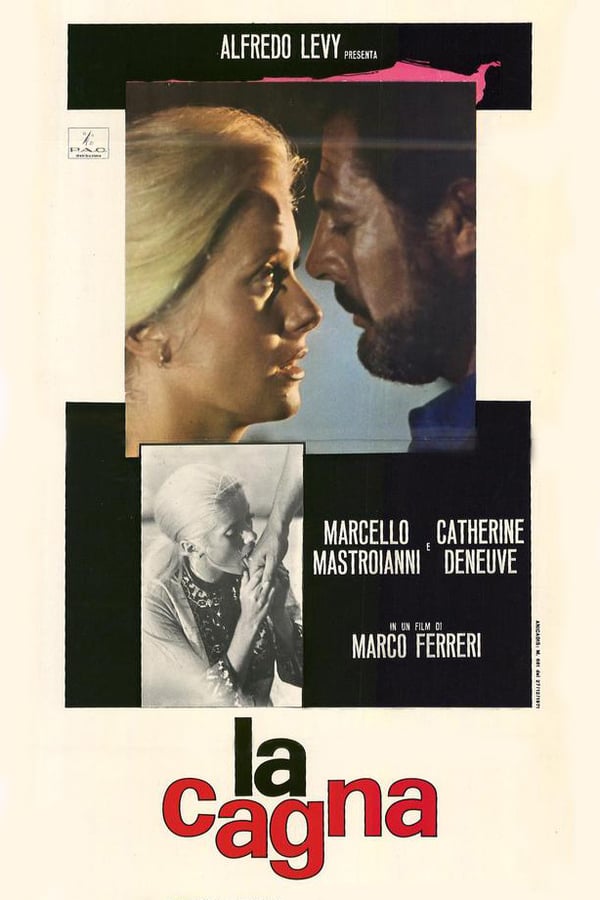 Cover of the movie Liza