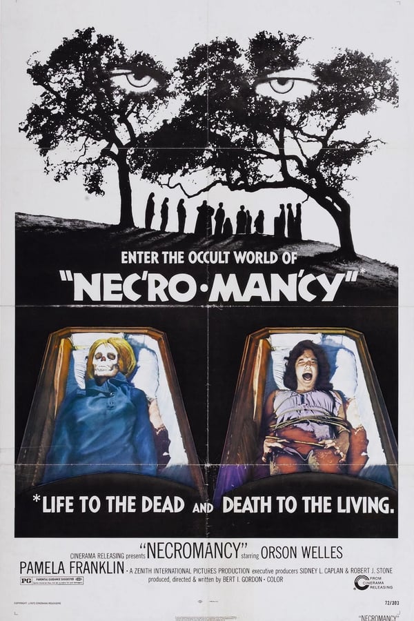 Cover of the movie Necromancy