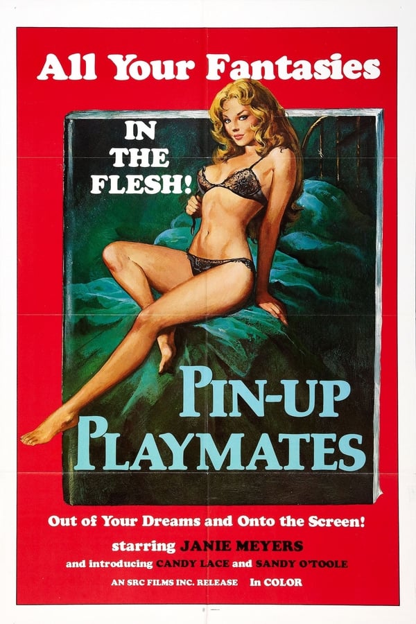 Cover of the movie Pin-up Playmates