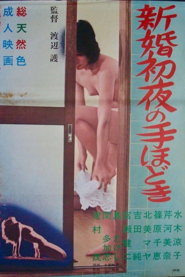 Cover of the movie Shinkon shoya no tehodoki