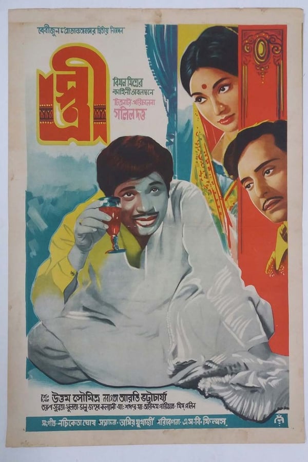 Cover of the movie Stree