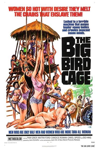 Cover of The Big Bird Cage