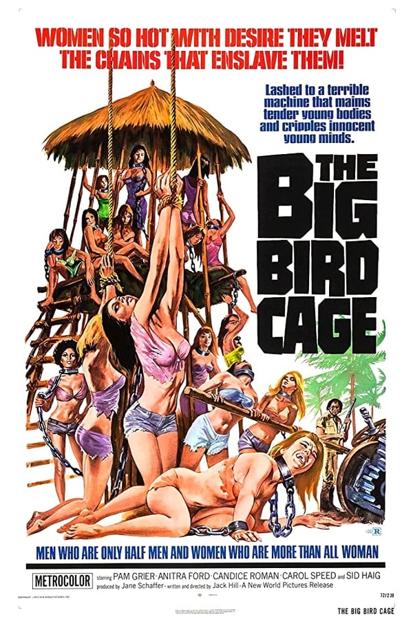 Cover of the movie The Big Bird Cage