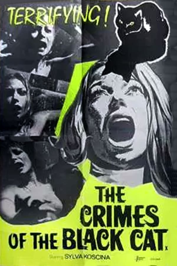 Cover of the movie The Crimes of the Black Cat