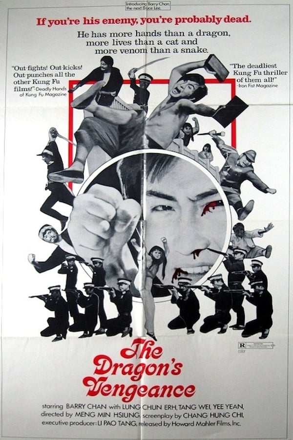 Cover of the movie The Dragon's Vengeance