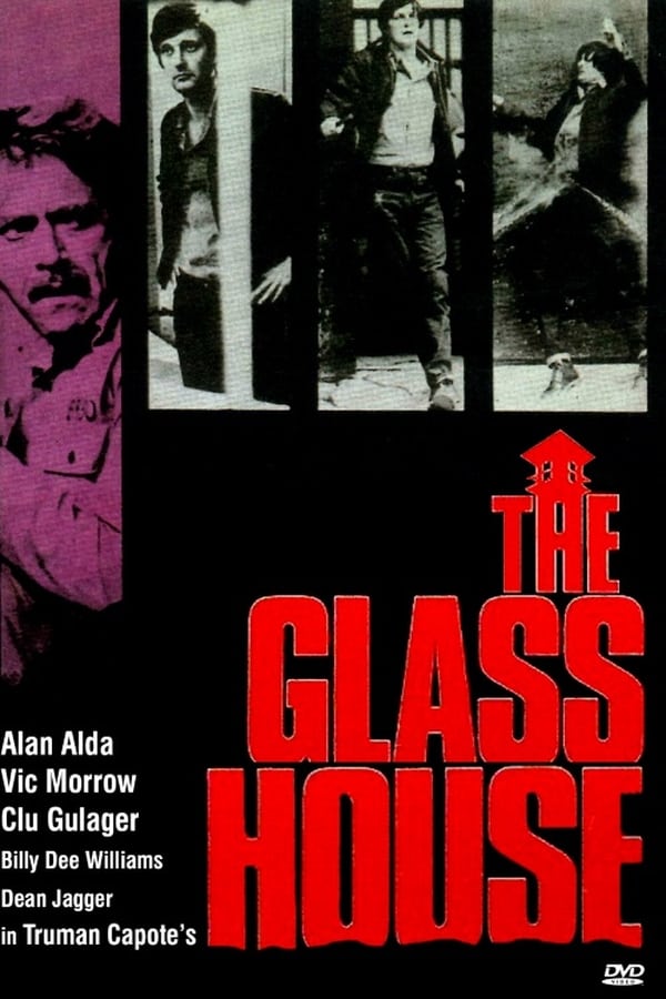 Cover of the movie The Glass House