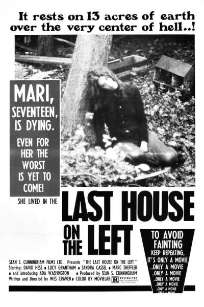 Cover of The Last House on the Left