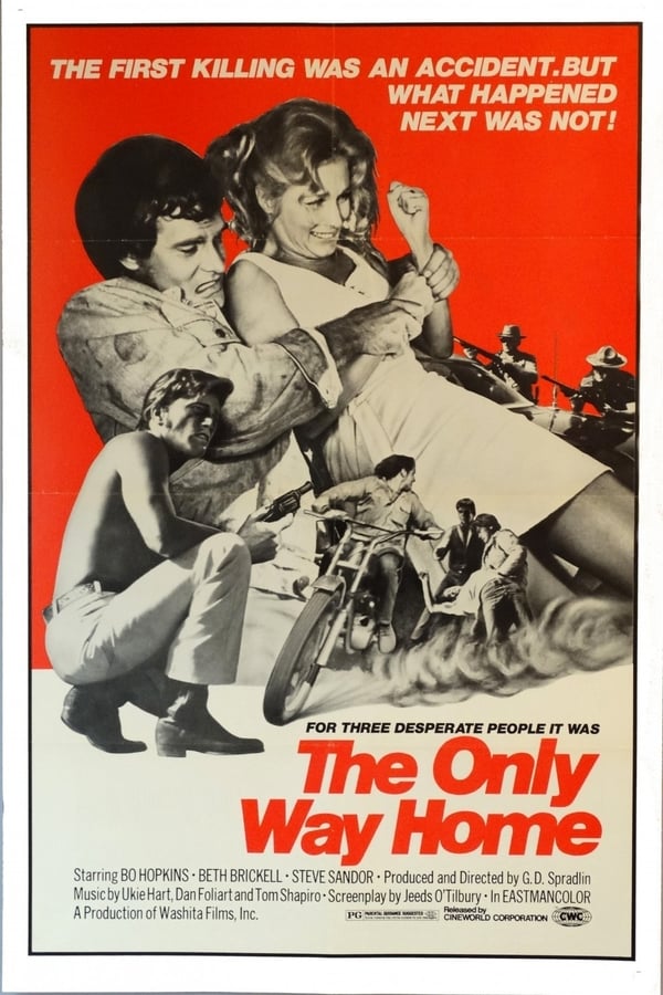 Cover of the movie The Only Way Home