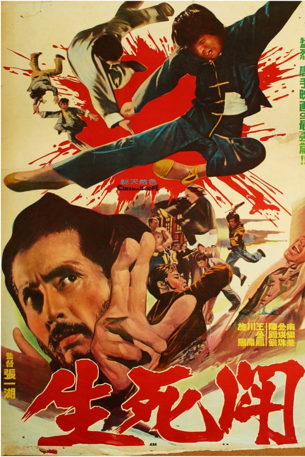 Cover of the movie The Thunderbolt Fist