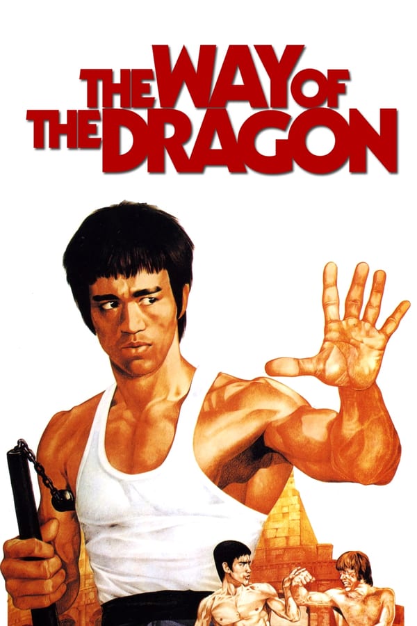 Cover of the movie The Way of the Dragon