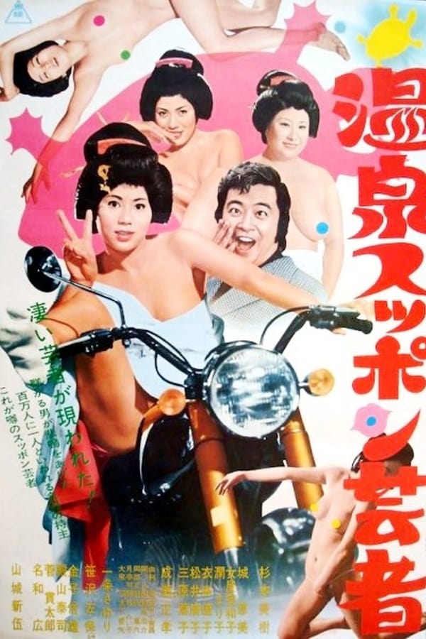 Cover of the movie Turtle Geisha