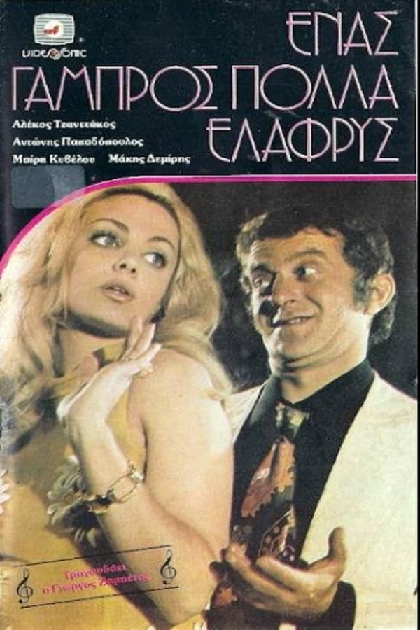 Cover of the movie Ένας Γαμπρός Πολλά Ελαφρύς