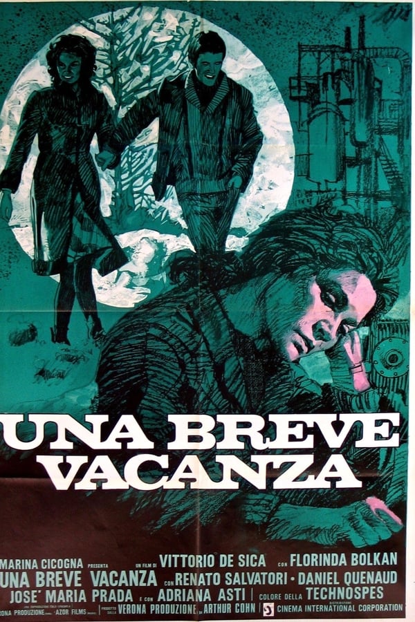 Cover of the movie A Brief Vacation