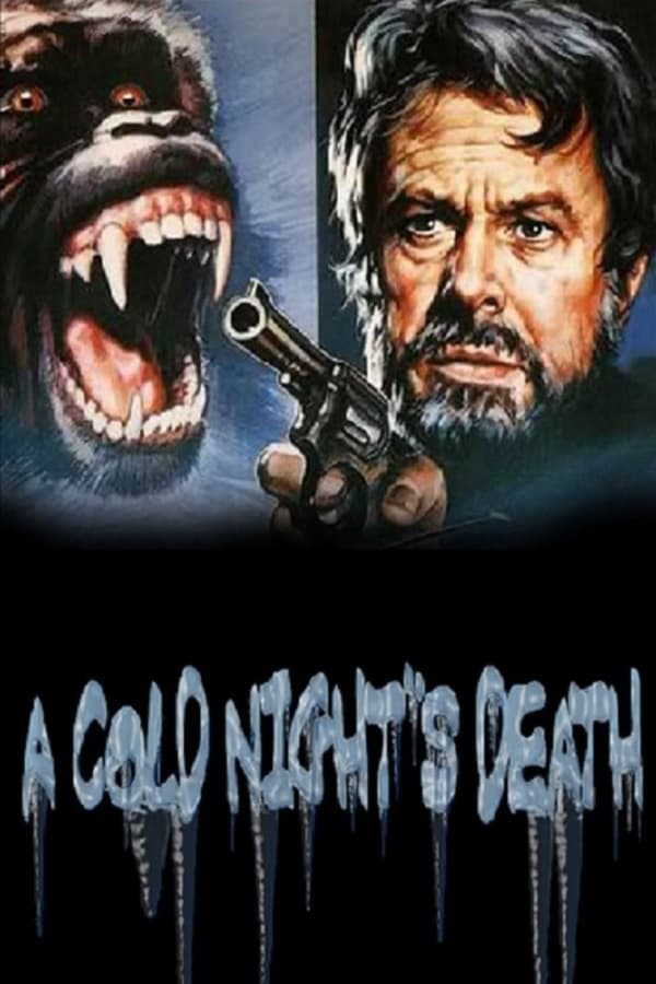 Cover of the movie A Cold Night's Death