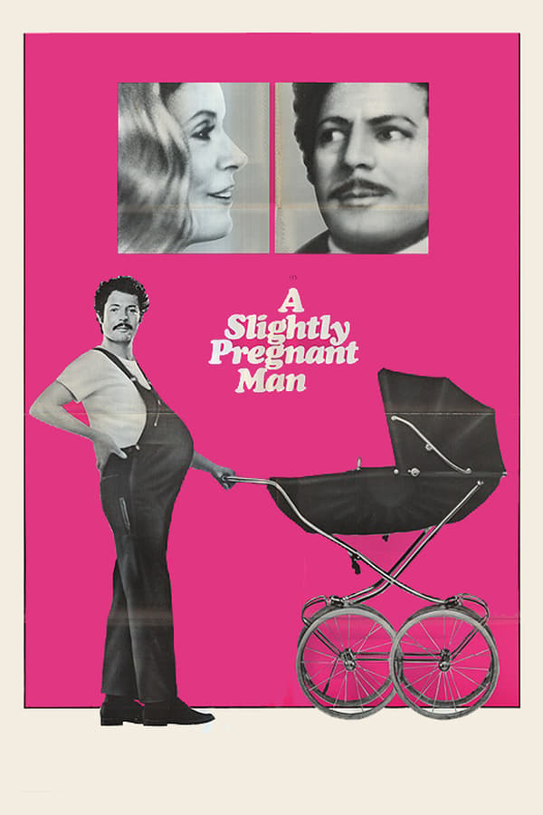 Cover of the movie A Slightly Pregnant Man