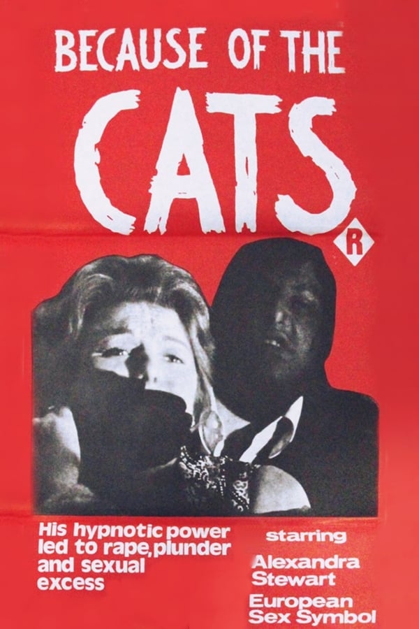 Cover of the movie Because of the Cats