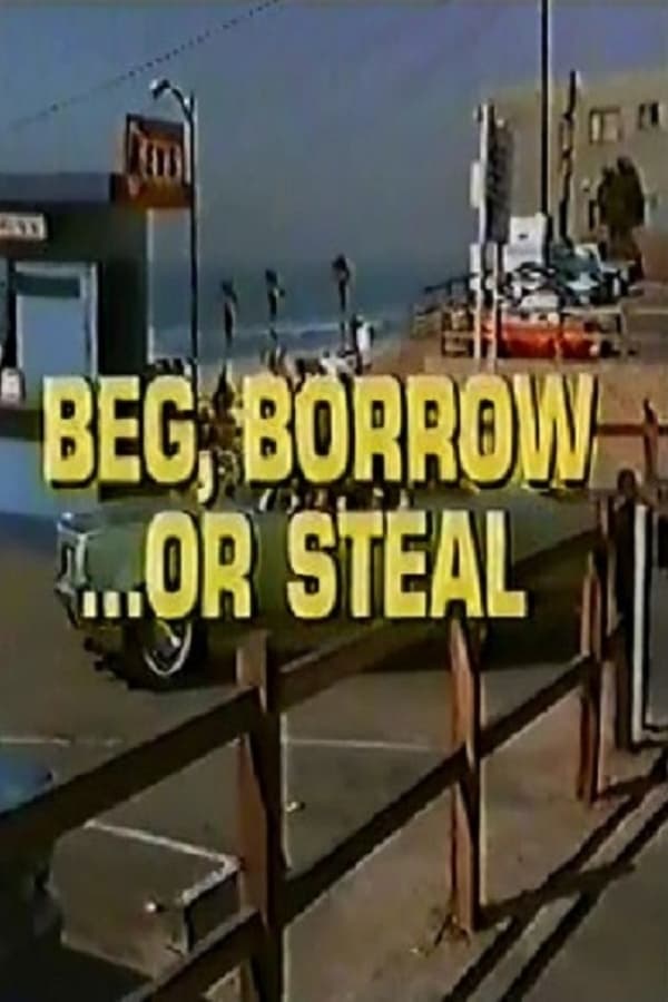 Cover of the movie Beg, Borrow...or Steal