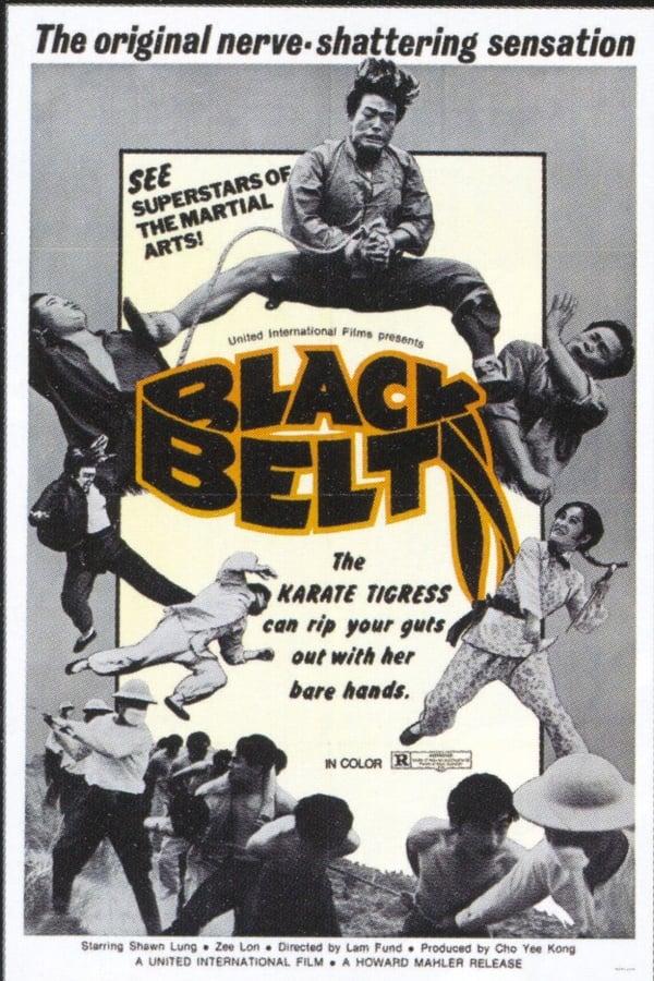 Cover of the movie Black Belt
