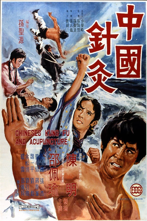 Cover of the movie Chinese Kung Fu and Acupuncture