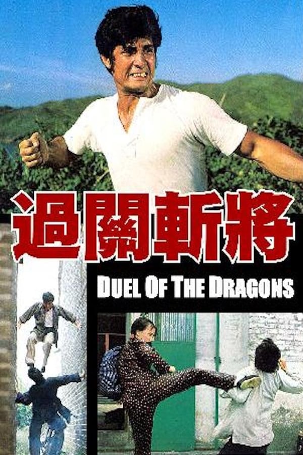Cover of the movie Duel of the Dragons
