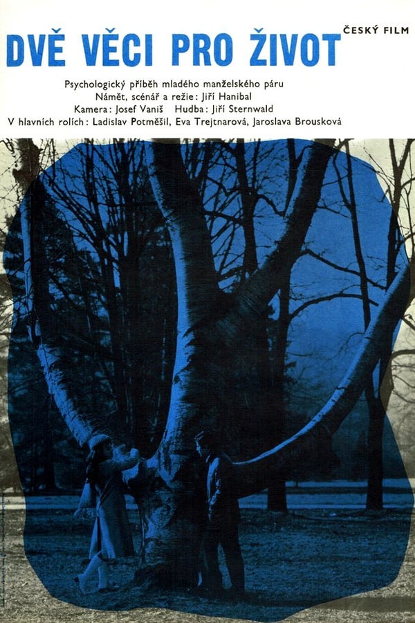 Cover of the movie Dvě věci pro život