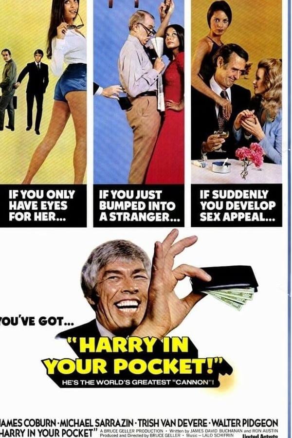 Cover of the movie Harry in Your Pocket