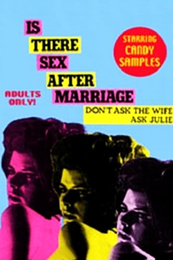 Cover of the movie Is There Sex After Marriage
