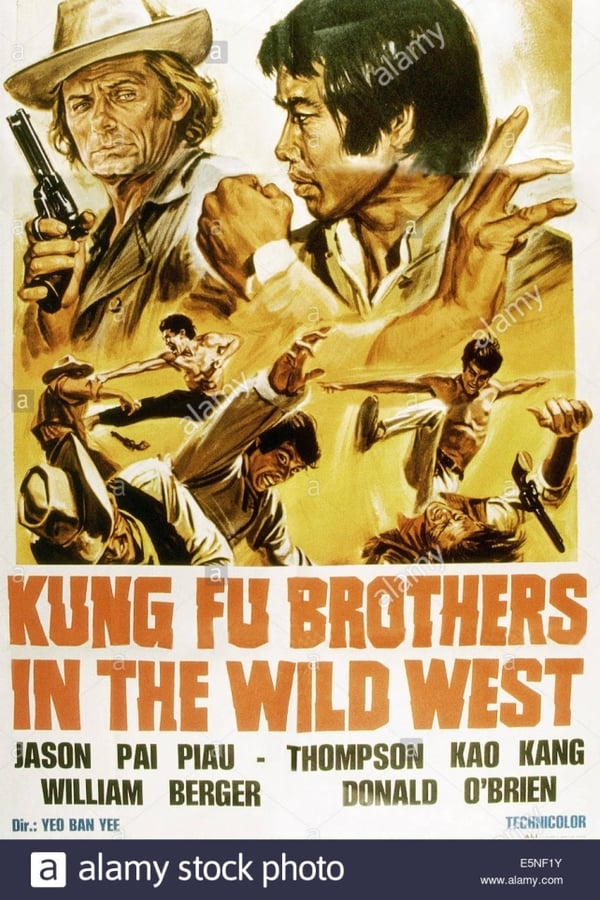 Cover of the movie Kung Fu Brothers in the Wild West