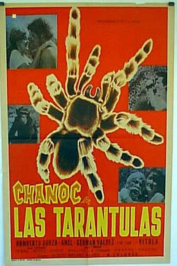 Cover of the movie Las tarántulas