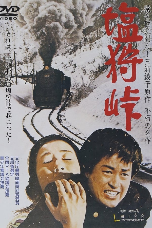 Cover of the movie Love Stopped the Runaway Train