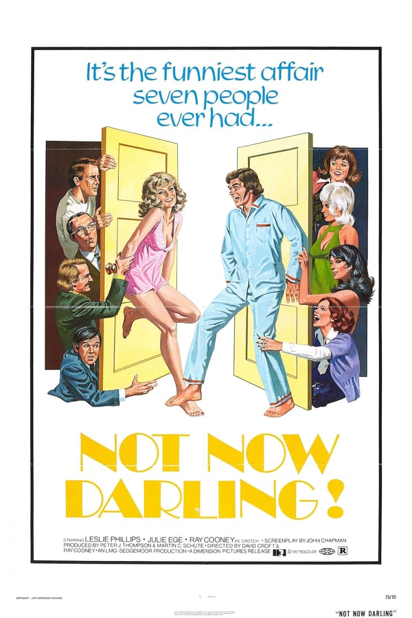 Cover of the movie Not Now Darling