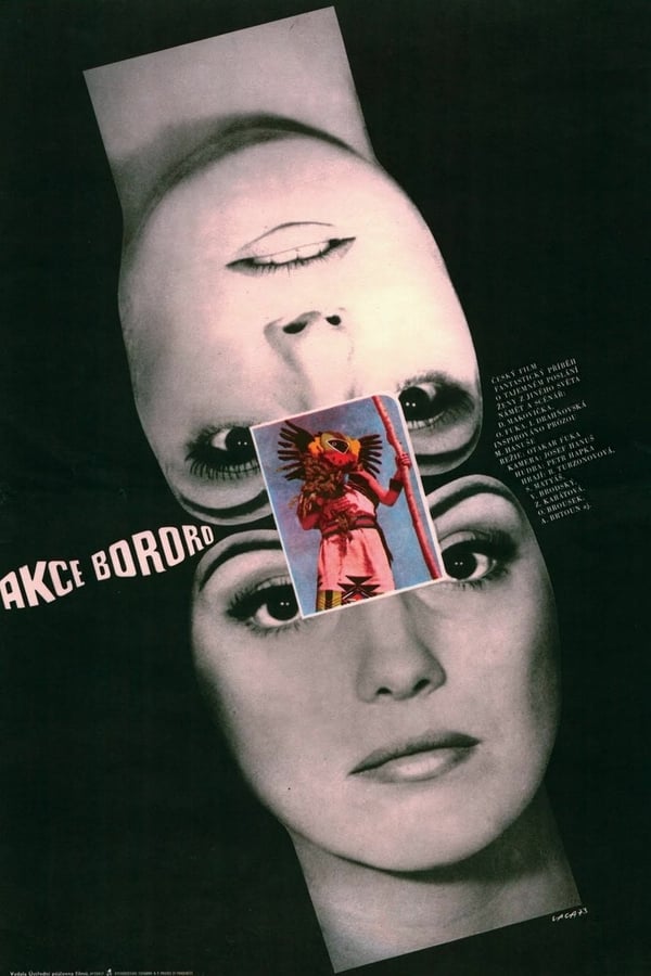 Cover of the movie Operation Bororo