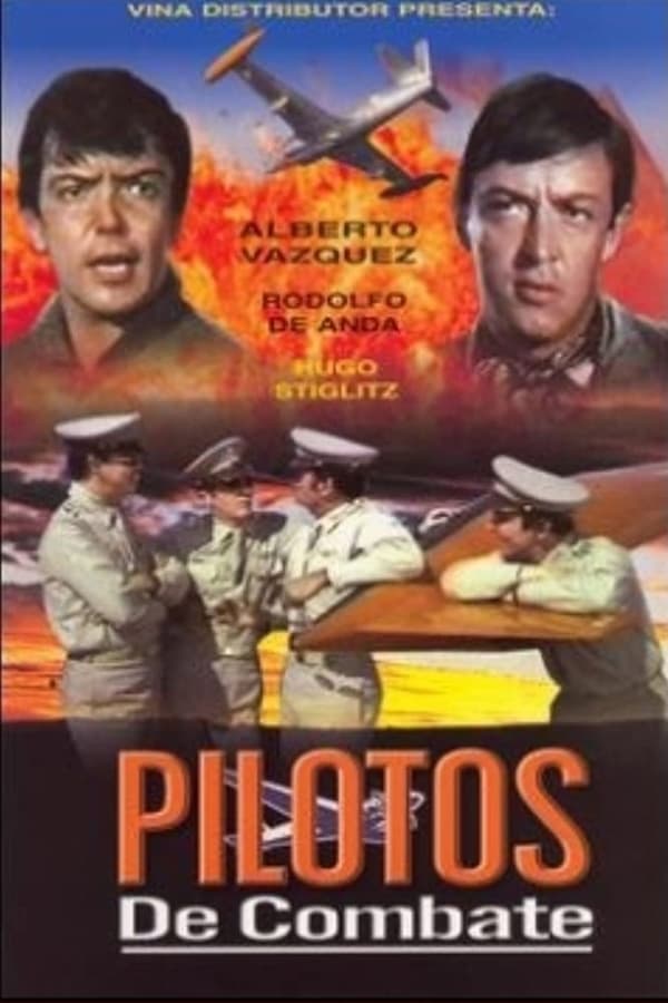 Cover of the movie Pilotos de combate